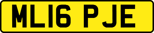 ML16PJE