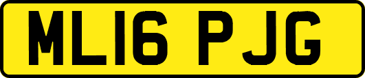 ML16PJG