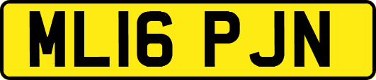 ML16PJN