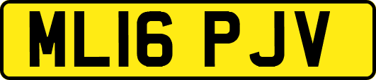 ML16PJV