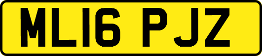 ML16PJZ