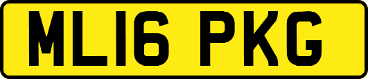 ML16PKG