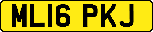 ML16PKJ