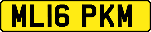 ML16PKM