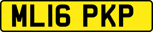 ML16PKP