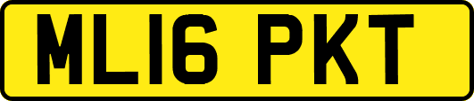 ML16PKT
