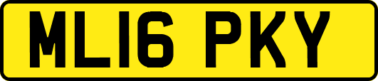 ML16PKY