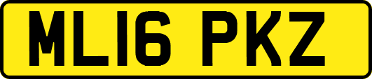 ML16PKZ
