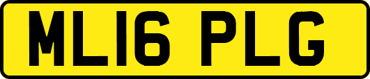 ML16PLG