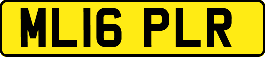 ML16PLR