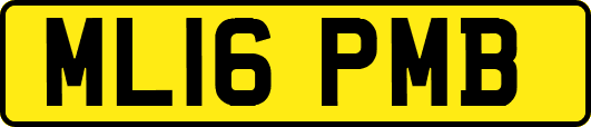 ML16PMB