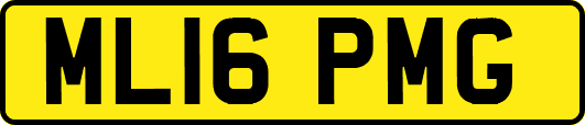 ML16PMG