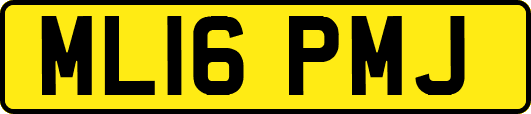 ML16PMJ