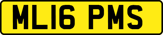 ML16PMS