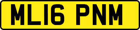 ML16PNM