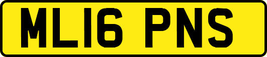 ML16PNS