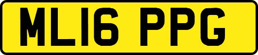 ML16PPG