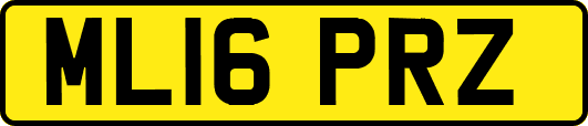 ML16PRZ