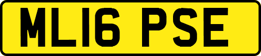 ML16PSE