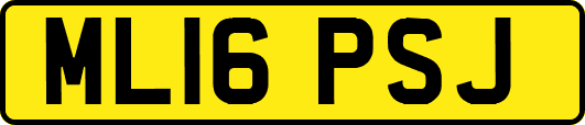 ML16PSJ