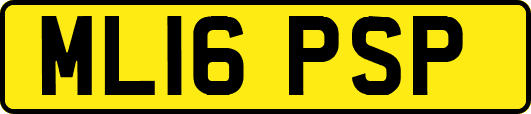 ML16PSP
