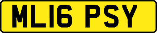 ML16PSY