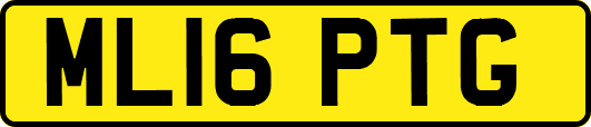 ML16PTG