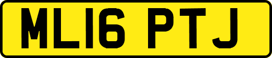 ML16PTJ