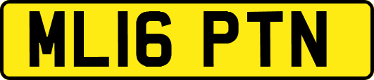 ML16PTN