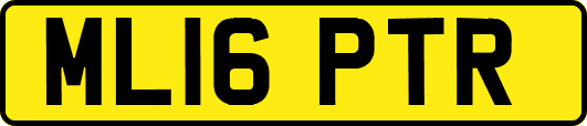 ML16PTR