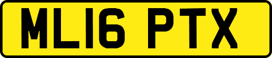 ML16PTX