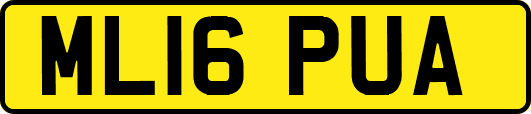 ML16PUA