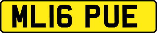 ML16PUE