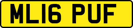 ML16PUF