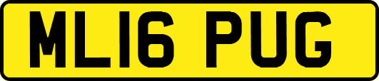ML16PUG