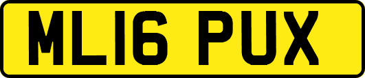 ML16PUX