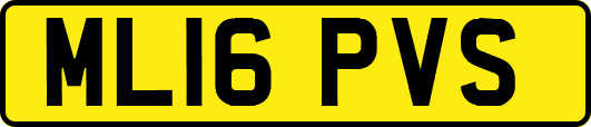 ML16PVS