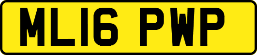 ML16PWP
