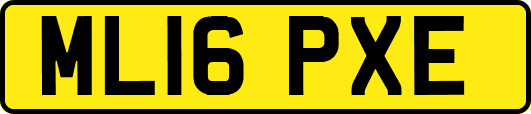 ML16PXE