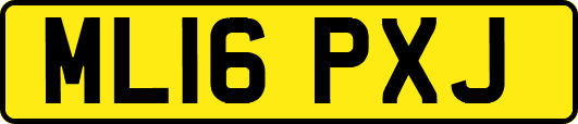 ML16PXJ