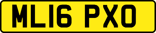 ML16PXO
