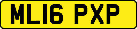 ML16PXP