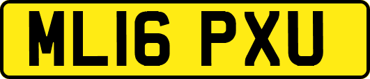 ML16PXU