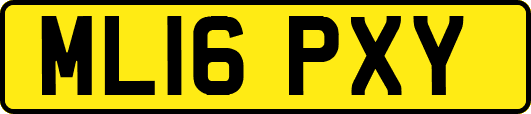 ML16PXY