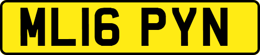 ML16PYN