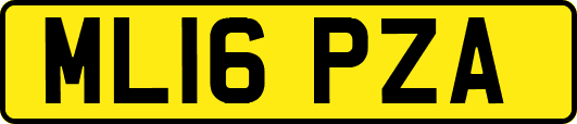 ML16PZA