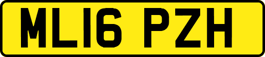 ML16PZH