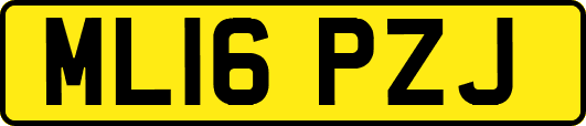 ML16PZJ