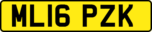 ML16PZK