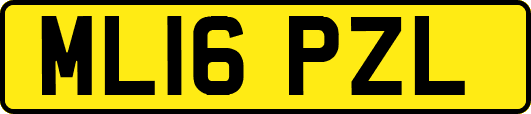 ML16PZL